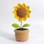 sunflower pot